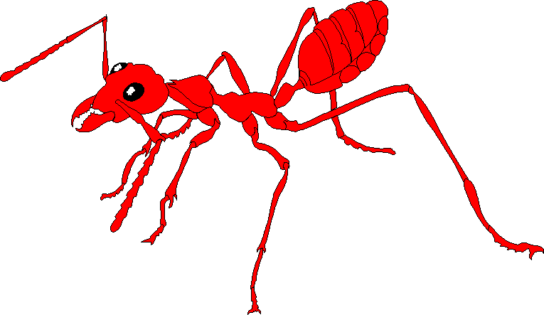 free animated insect clipart - photo #50